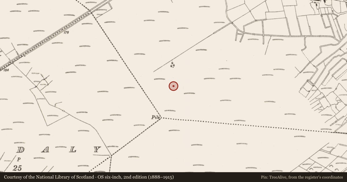 Ordnance Survey six-inch map, 2nd edition (1888–1915) covering the location of Structure - peatland, Lemanaghan, County Offaly, with a pin at the register's coordinates