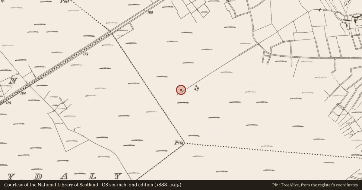 Ordnance Survey six-inch map, 2nd edition (1888–1915) covering the location of Structure - peatland, Lemanaghan, County Offaly, with a pin at the register's coordinates