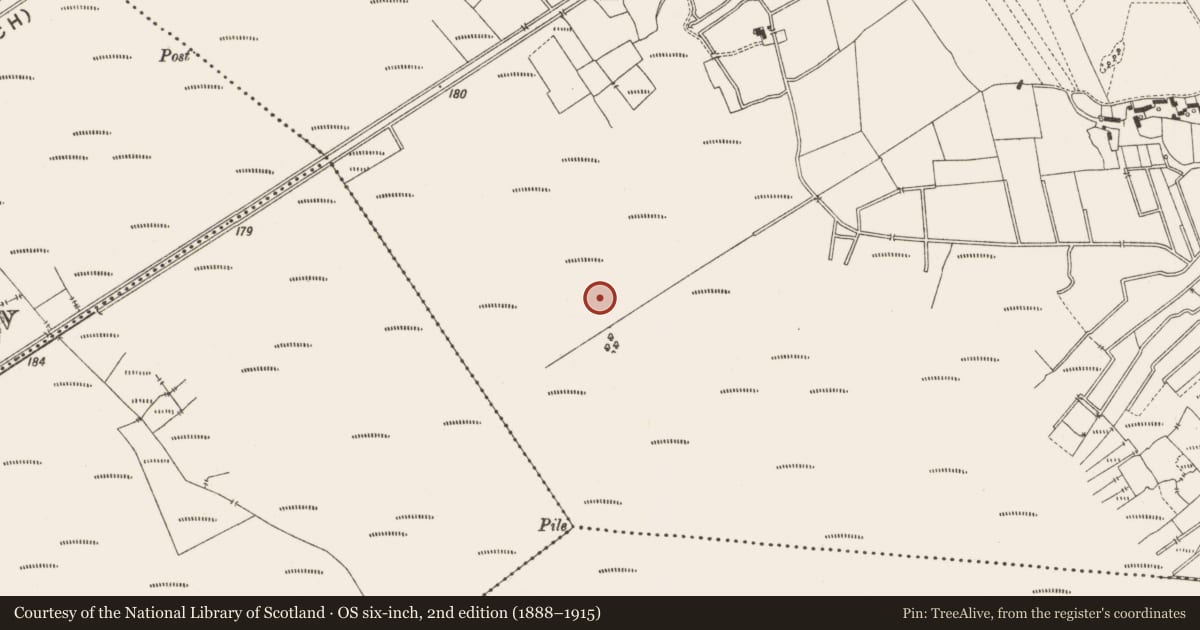 Ordnance Survey six-inch map, 2nd edition (1888–1915) covering the location of Structure - peatland, Lemanaghan, County Offaly, with a pin at the register's coordinates