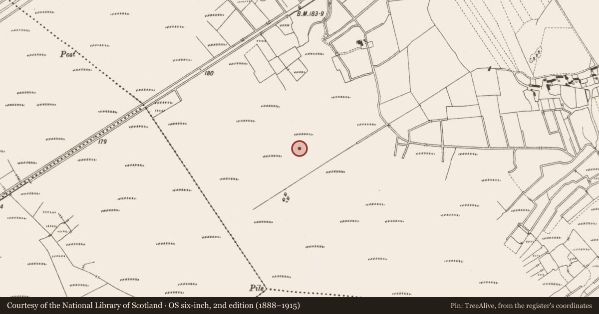 Ordnance Survey six-inch map, 2nd edition (1888–1915) covering the location of Structure - peatland, Lemanaghan, County Offaly, with a pin at the register's coordinates