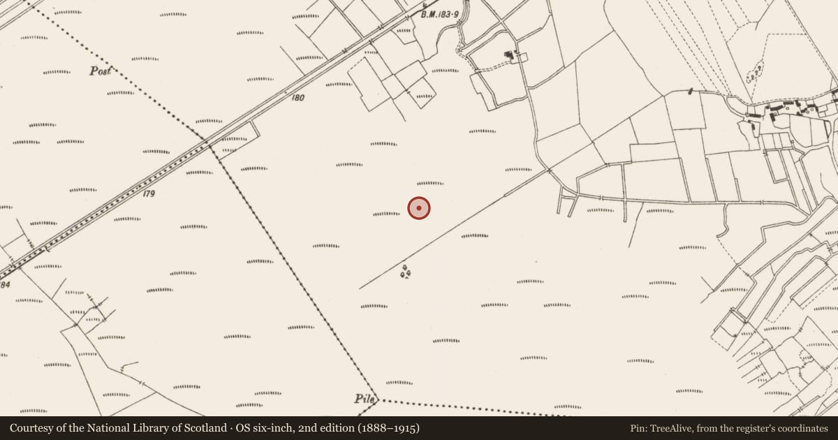 Ordnance Survey six-inch map, 2nd edition (1888–1915) covering the location of Structure - peatland, Lemanaghan, County Offaly, with a pin at the register's coordinates