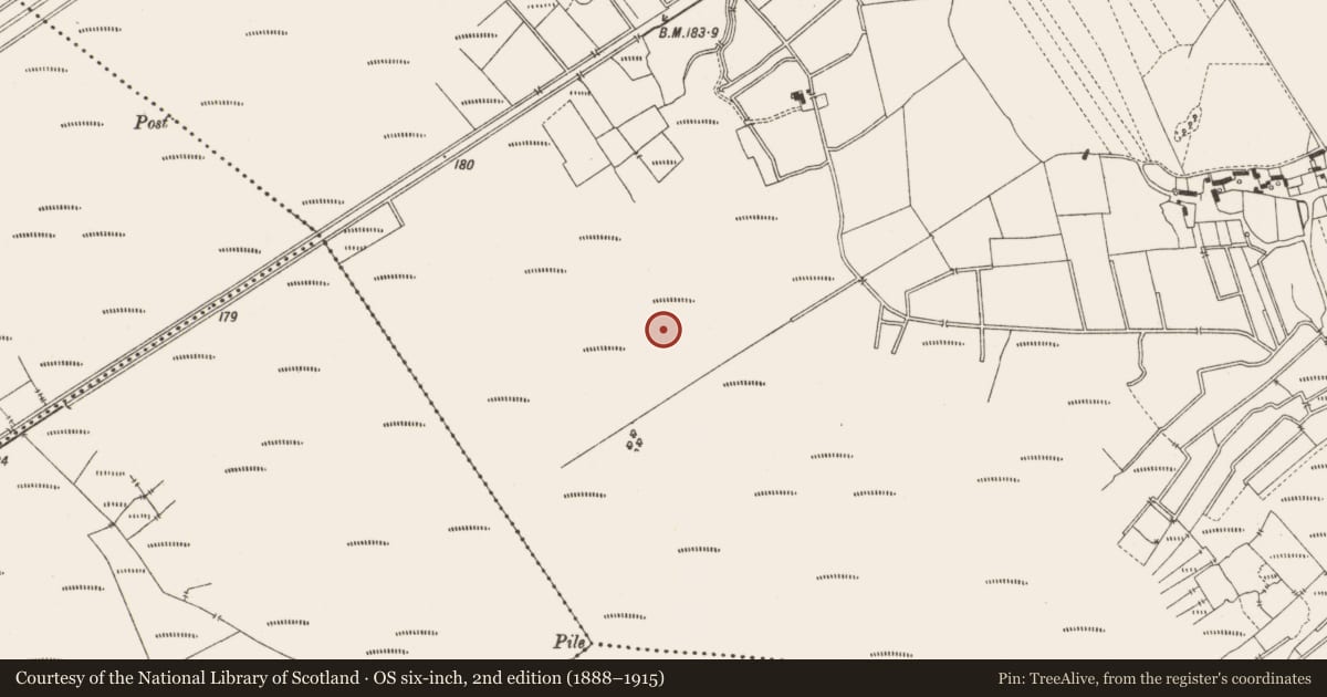 Ordnance Survey six-inch map, 2nd edition (1888–1915) covering the location of Structure - peatland, Lemanaghan, County Offaly, with a pin at the register's coordinates