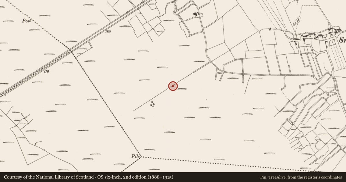 Ordnance Survey six-inch map, 2nd edition (1888–1915) covering the location of Structure - peatland, Lemanaghan, County Offaly, with a pin at the register's coordinates