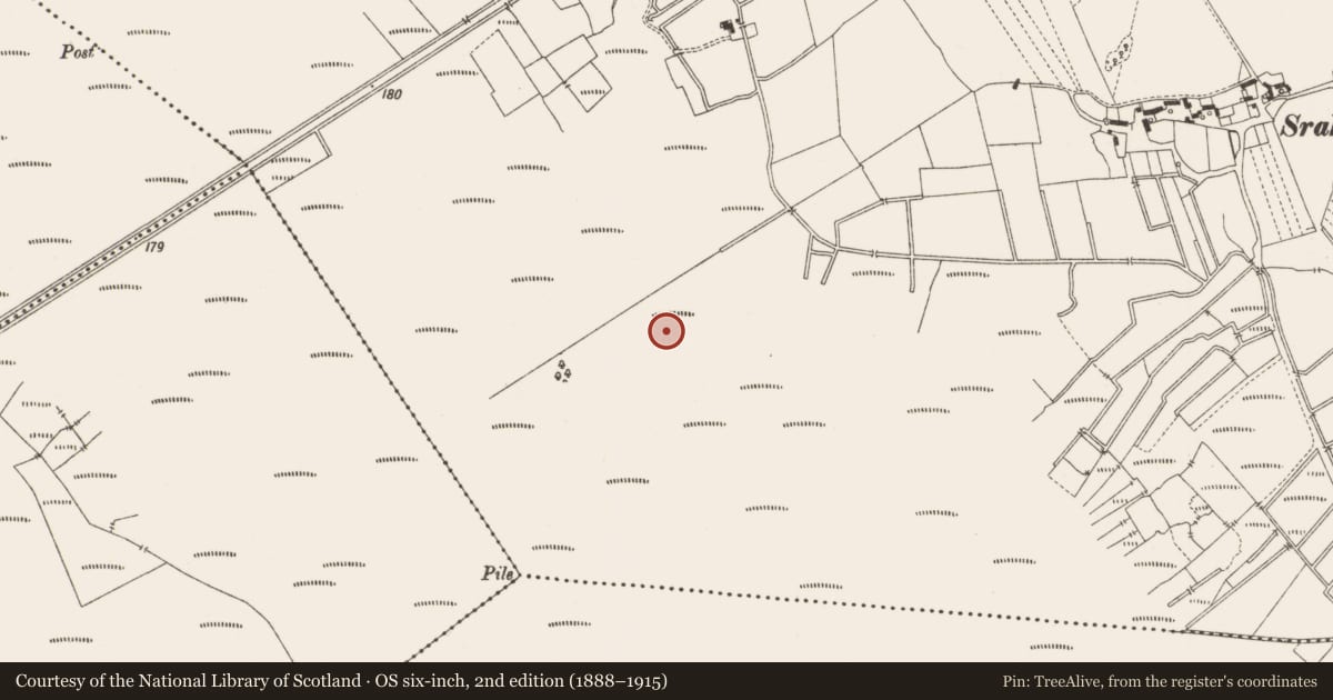 Ordnance Survey six-inch map, 2nd edition (1888–1915) covering the location of Structure - peatland, Lemanaghan, County Offaly, with a pin at the register's coordinates