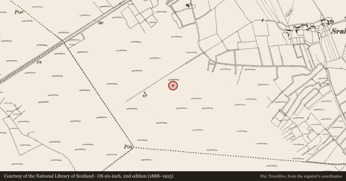 Ordnance Survey six-inch map, 2nd edition (1888–1915) covering the location of Road - class 3 togher, Lemanaghan, County Offaly, with a pin at the register's coordinates