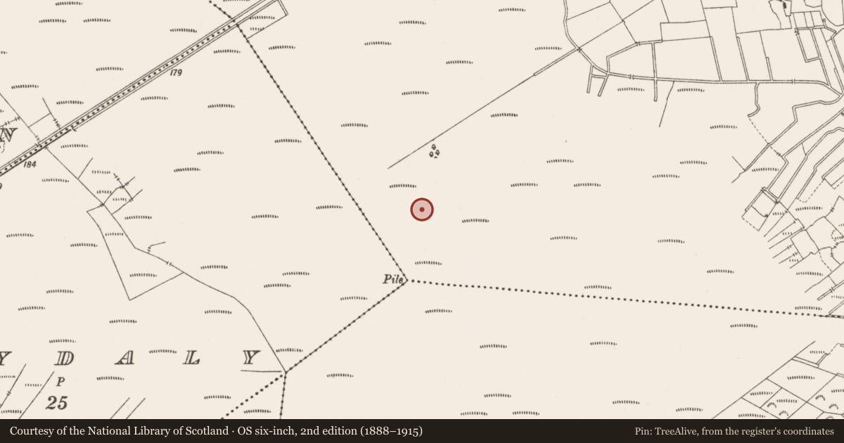 Ordnance Survey six-inch map, 2nd edition (1888–1915) covering the location of Structure - peatland, Lemanaghan, County Offaly, with a pin at the register's coordinates