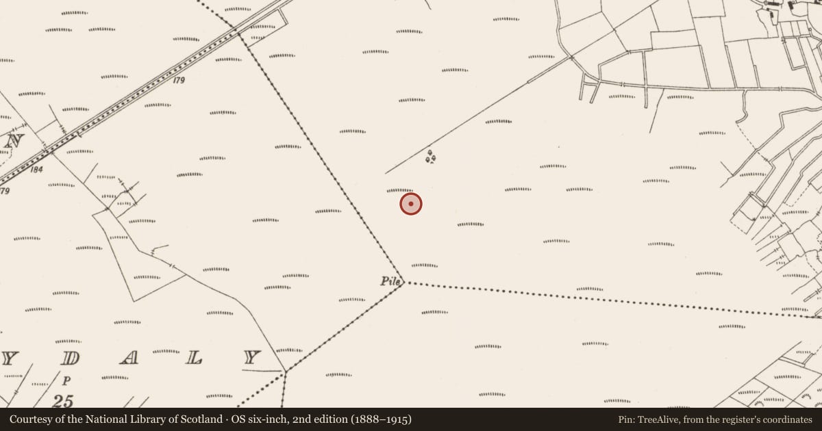 Ordnance Survey six-inch map, 2nd edition (1888–1915) covering the location of Structure - peatland, Lemanaghan, County Offaly, with a pin at the register's coordinates