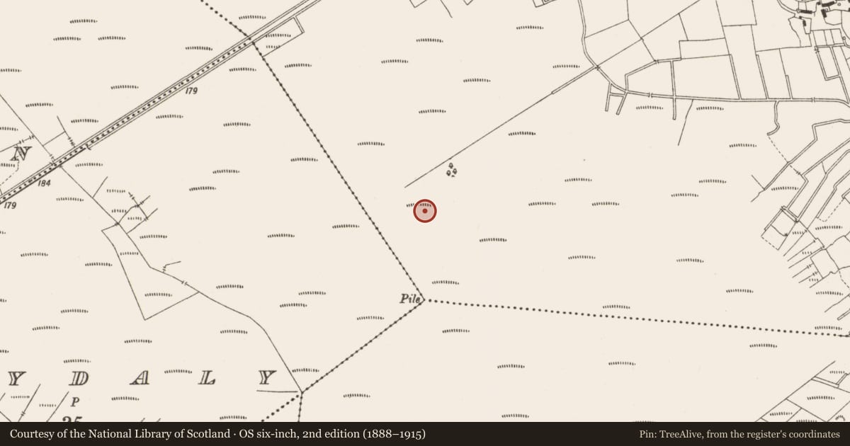 Ordnance Survey six-inch map, 2nd edition (1888–1915) covering the location of Structure - peatland, Lemanaghan, County Offaly, with a pin at the register's coordinates