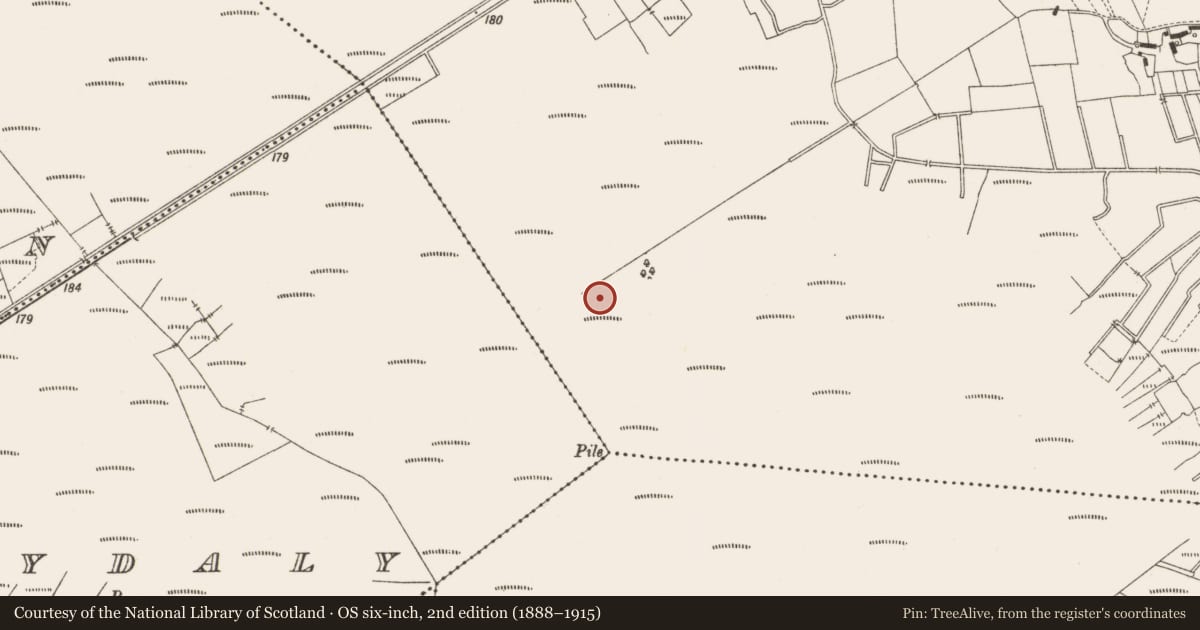 Ordnance Survey six-inch map, 2nd edition (1888–1915) covering the location of Road - class 3 togher, Lemanaghan, County Offaly, with a pin at the register's coordinates