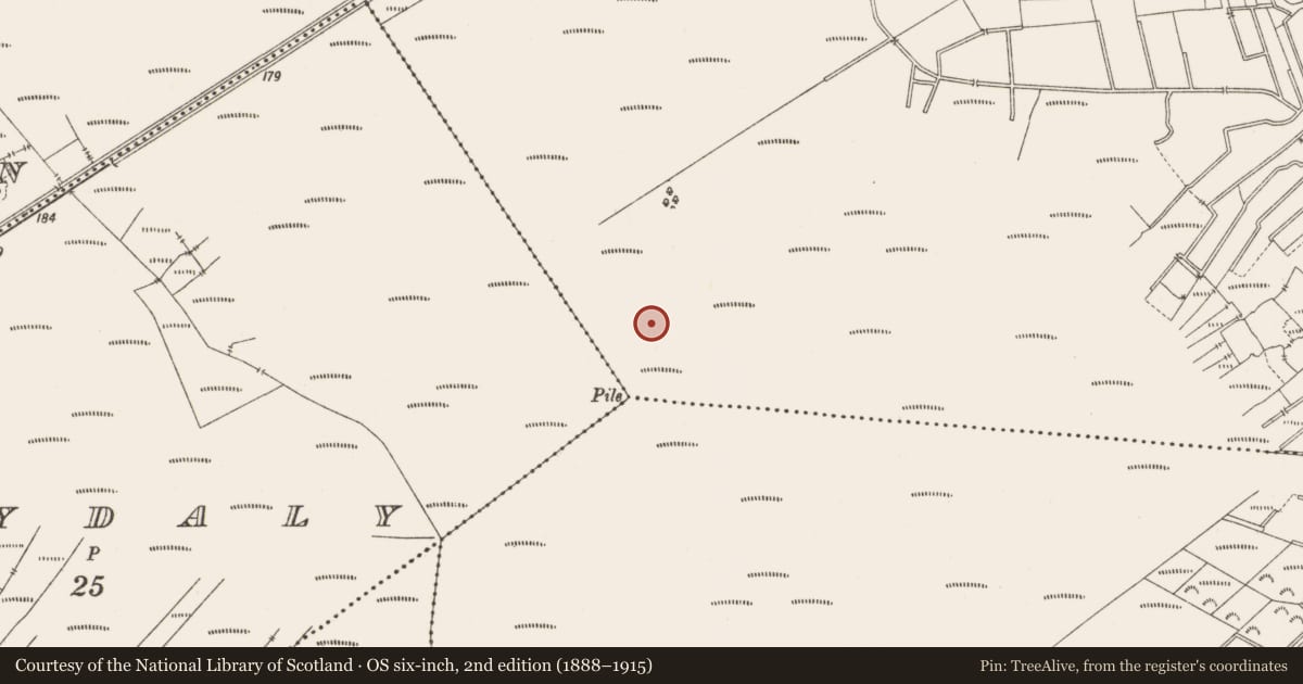 Ordnance Survey six-inch map, 2nd edition (1888–1915) covering the location of Road - class 3 togher, Lemanaghan, County Offaly, with a pin at the register's coordinates
