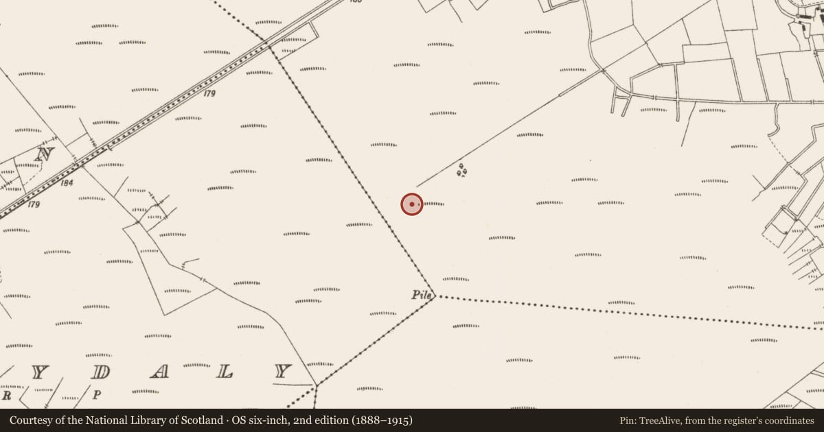 Ordnance Survey six-inch map, 2nd edition (1888–1915) covering the location of Structure - peatland, Lemanaghan, County Offaly, with a pin at the register's coordinates