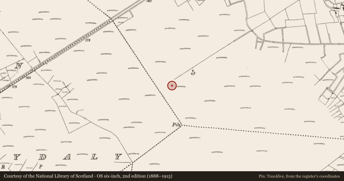 Ordnance Survey six-inch map, 2nd edition (1888–1915) covering the location of Structure - peatland, Lemanaghan, County Offaly, with a pin at the register's coordinates