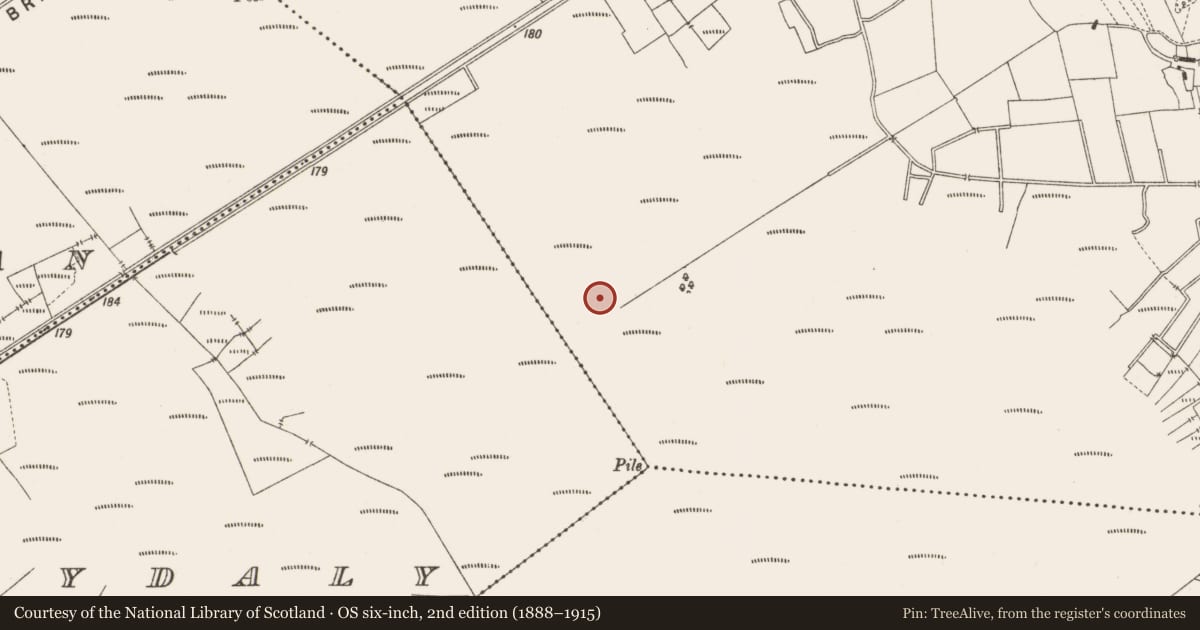 Ordnance Survey six-inch map, 2nd edition (1888–1915) covering the location of Structure - peatland, Lemanaghan, County Offaly, with a pin at the register's coordinates
