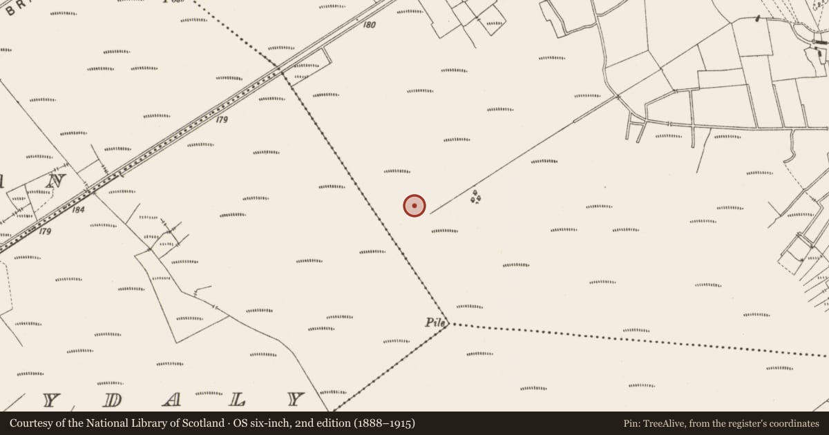 Ordnance Survey six-inch map, 2nd edition (1888–1915) covering the location of Road - class 3 togher, Lemanaghan, County Offaly, with a pin at the register's coordinates
