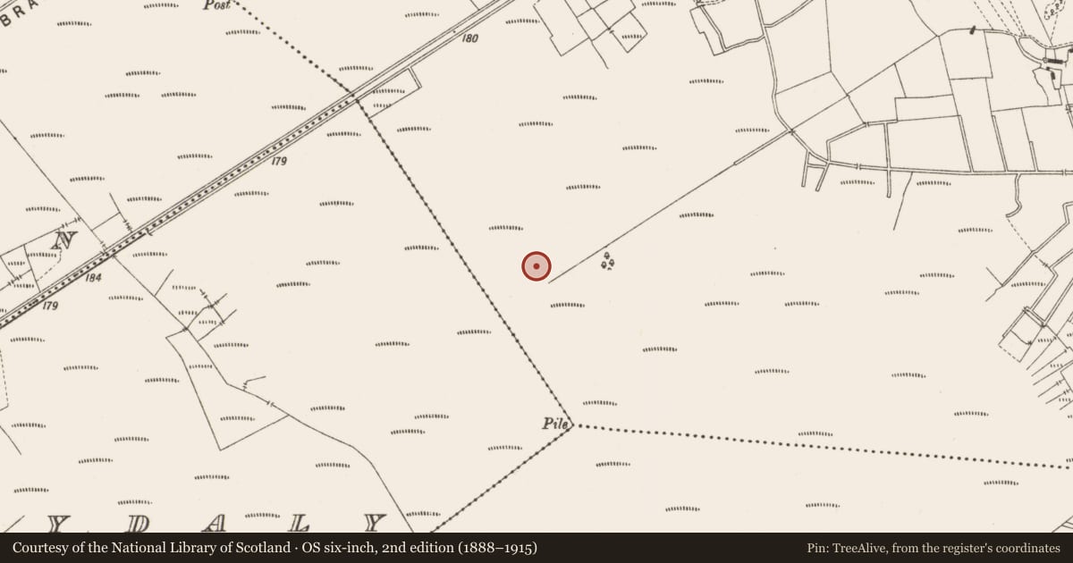 Ordnance Survey six-inch map, 2nd edition (1888–1915) covering the location of Road - class 3 togher, Lemanaghan, County Offaly, with a pin at the register's coordinates