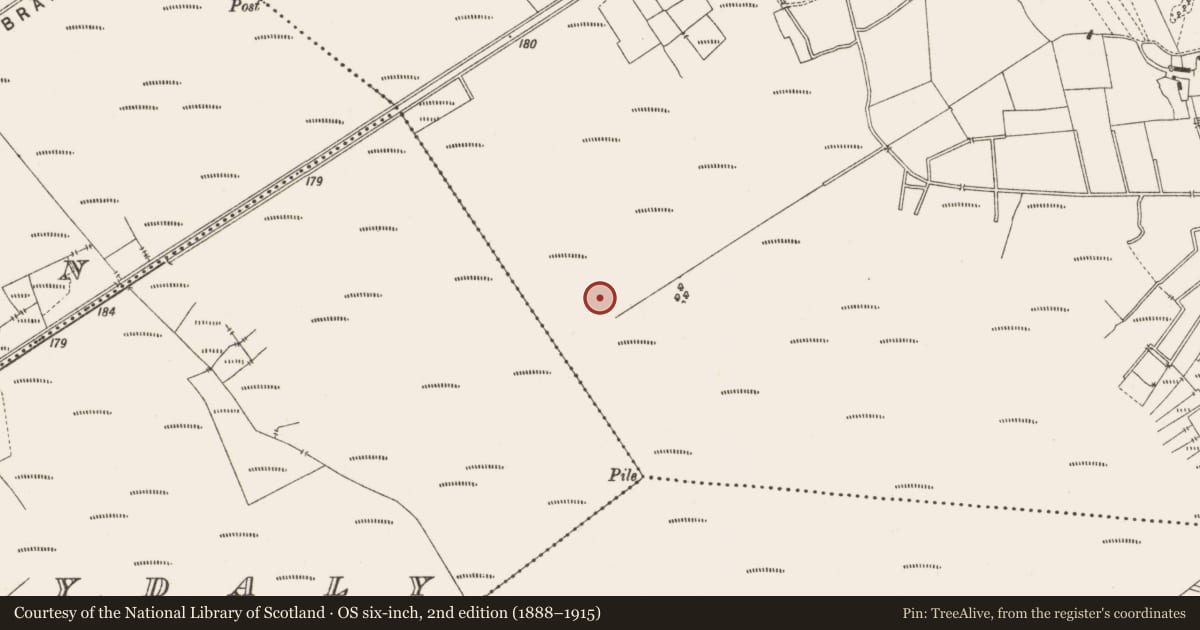 Ordnance Survey six-inch map, 2nd edition (1888–1915) covering the location of Road - class 3 togher, Lemanaghan, County Offaly, with a pin at the register's coordinates