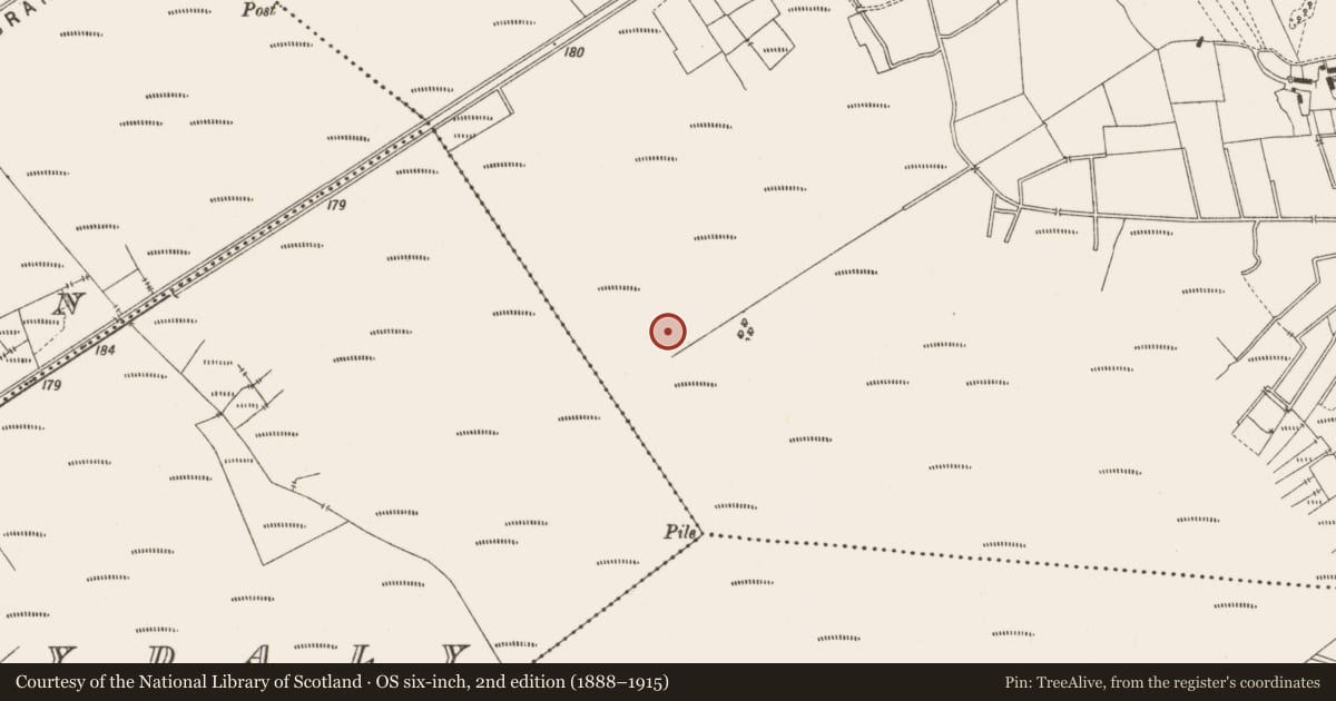 Ordnance Survey six-inch map, 2nd edition (1888–1915) covering the location of Road - class 3 togher, Lemanaghan, County Offaly, with a pin at the register's coordinates