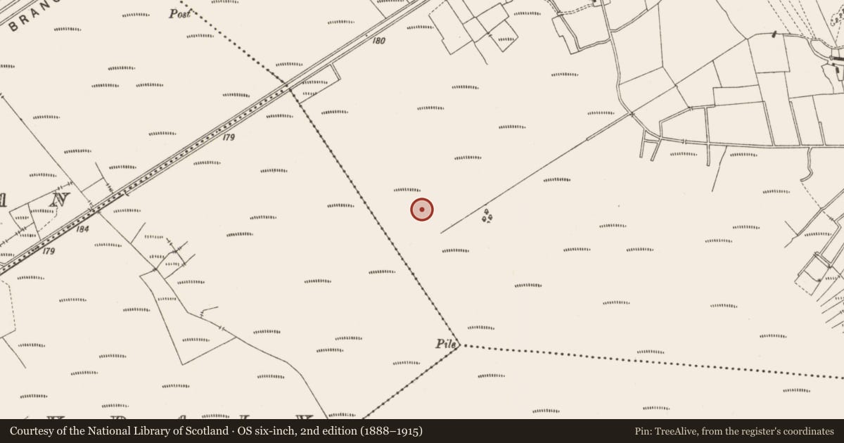 Ordnance Survey six-inch map, 2nd edition (1888–1915) covering the location of Structure - peatland, Lemanaghan, County Offaly, with a pin at the register's coordinates