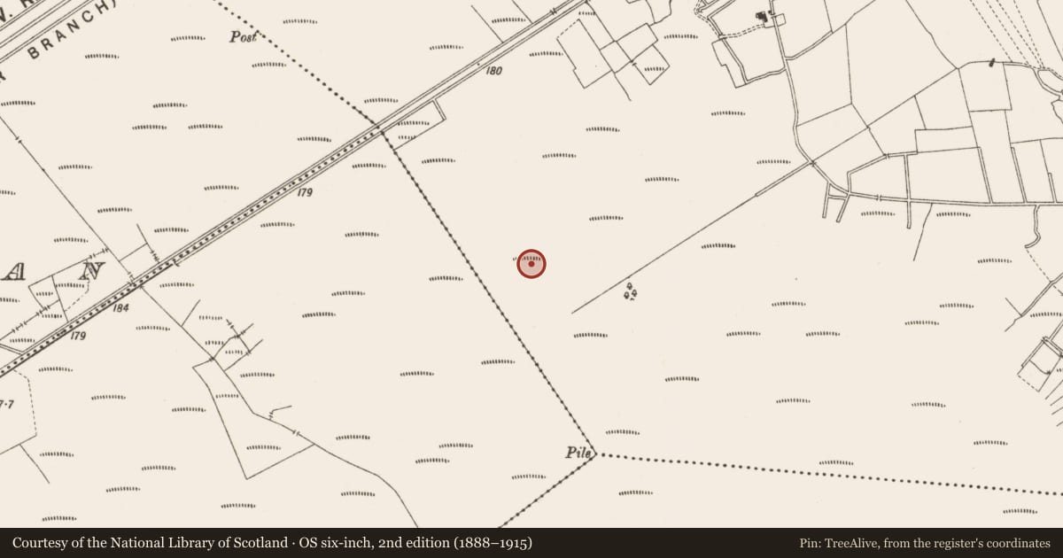 Ordnance Survey six-inch map, 2nd edition (1888–1915) covering the location of Structure - peatland, Lemanaghan, County Offaly, with a pin at the register's coordinates