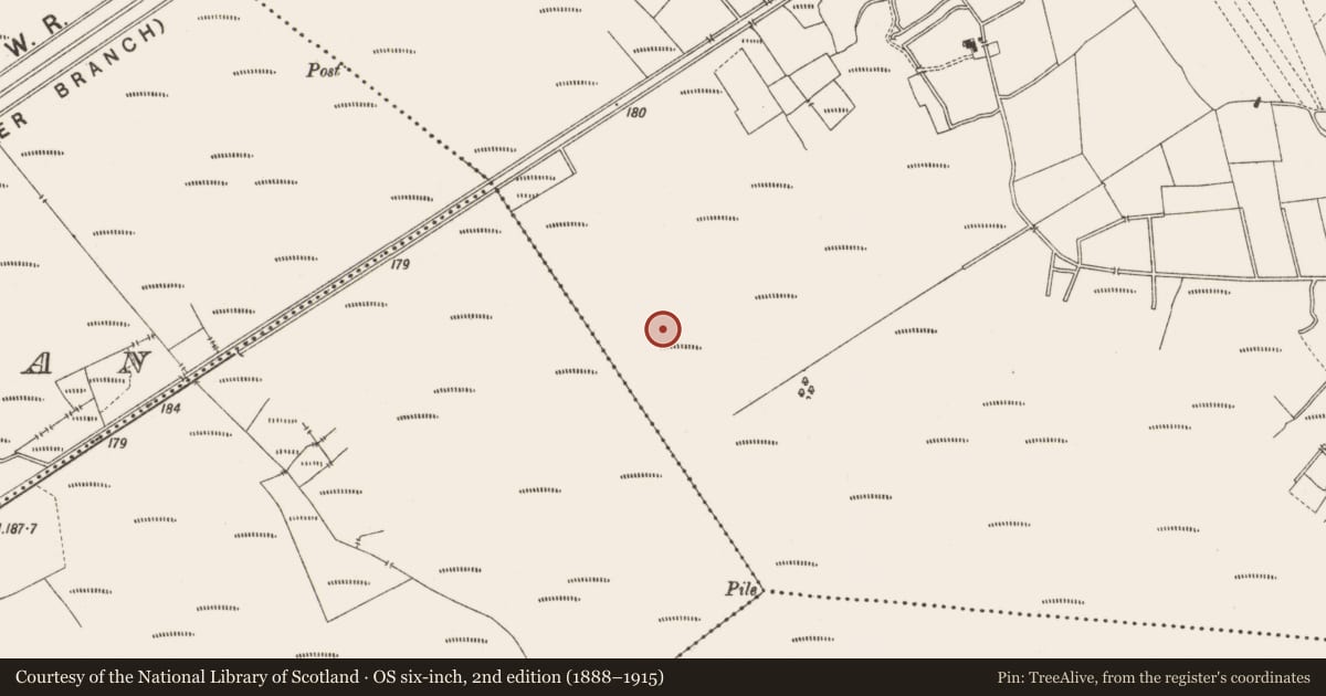 Ordnance Survey six-inch map, 2nd edition (1888–1915) covering the location of Structure - peatland, Lemanaghan, County Offaly, with a pin at the register's coordinates