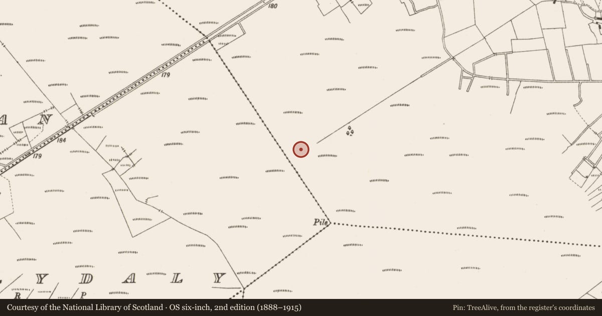 Ordnance Survey six-inch map, 2nd edition (1888–1915) covering the location of Structure - peatland, Lemanaghan, County Offaly, with a pin at the register's coordinates