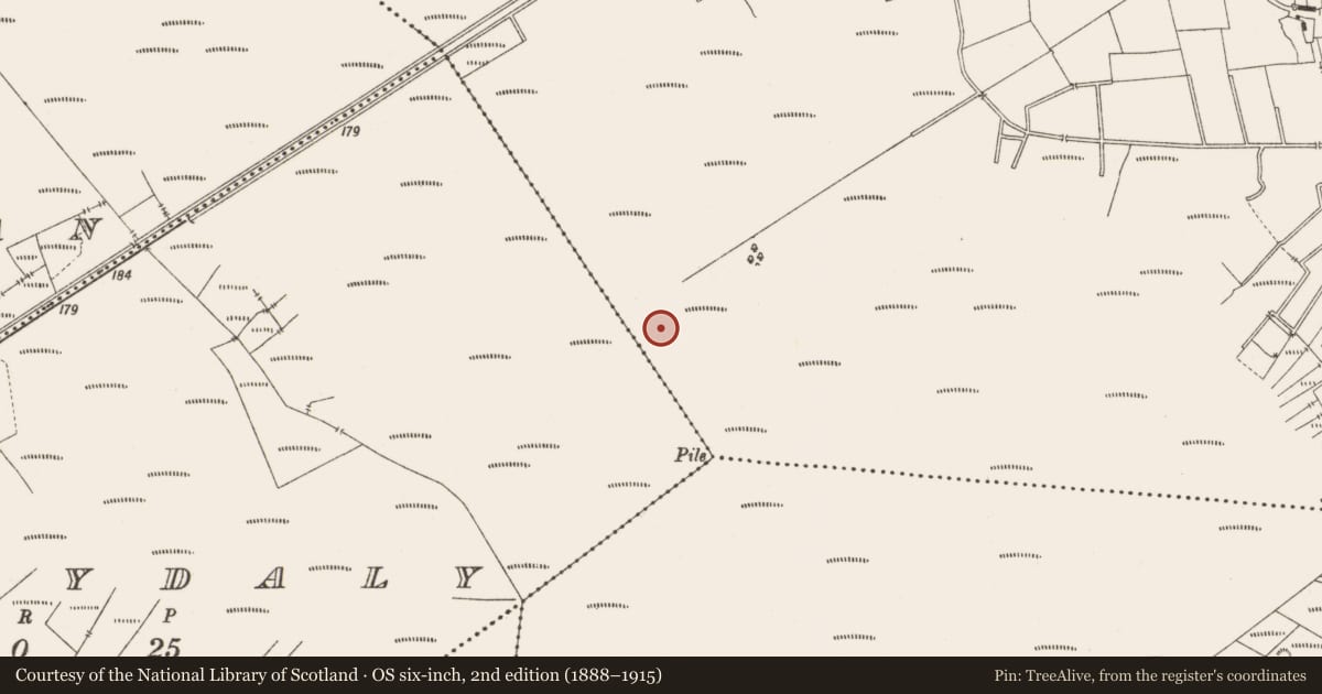 Ordnance Survey six-inch map, 2nd edition (1888–1915) covering the location of Structure - peatland, Lemanaghan, County Offaly, with a pin at the register's coordinates