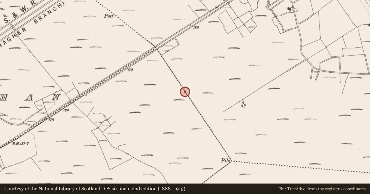 Ordnance Survey six-inch map, 2nd edition (1888–1915) covering the location of Structure - peatland, Ballydaly, Lemanaghan, County Offaly, with a pin at the register's coordinates