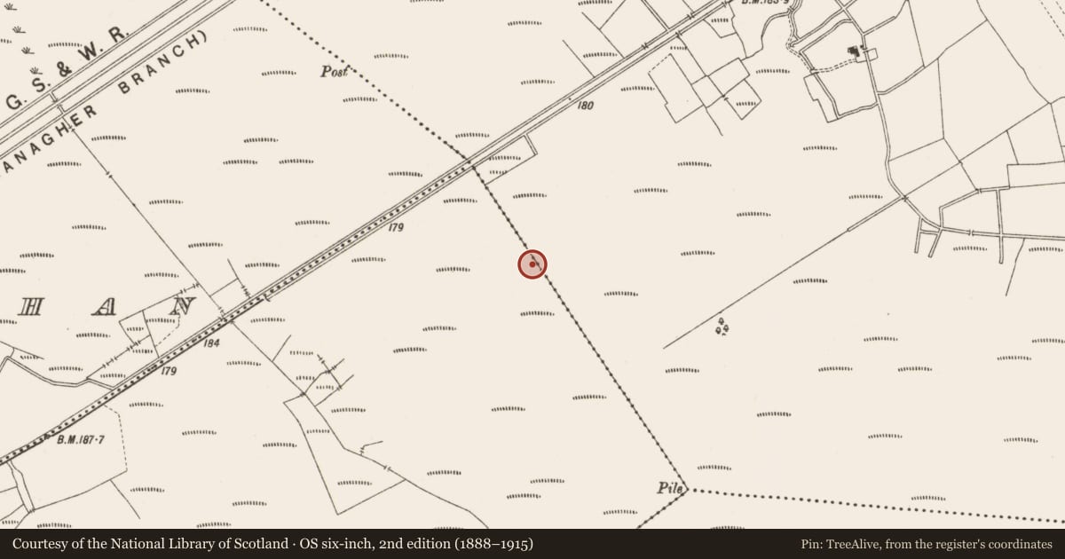 Ordnance Survey six-inch map, 2nd edition (1888–1915) covering the location of Structure - peatland, Ballydaly, County Offaly, with a pin at the register's coordinates