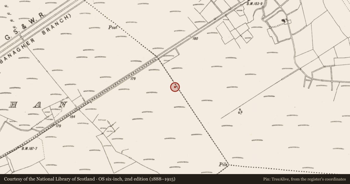 Ordnance Survey six-inch map, 2nd edition (1888–1915) covering the location of Structure - peatland, Ballydaly, County Offaly, with a pin at the register's coordinates
