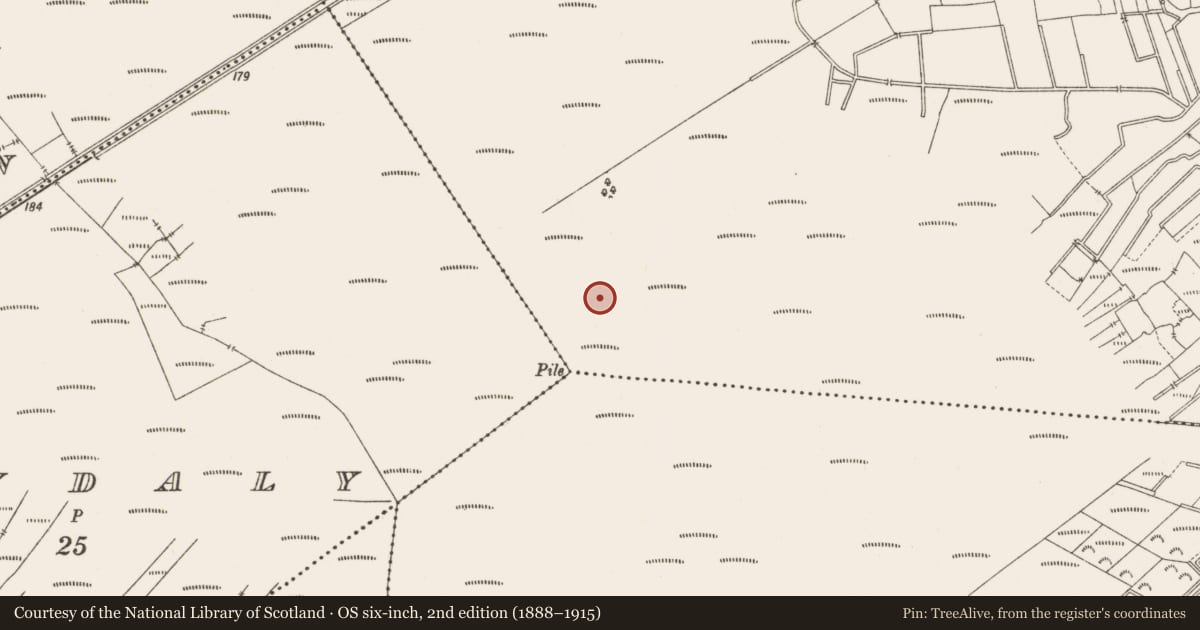 Ordnance Survey six-inch map, 2nd edition (1888–1915) covering the location of Structure - peatland, Lemanaghan, County Offaly, with a pin at the register's coordinates