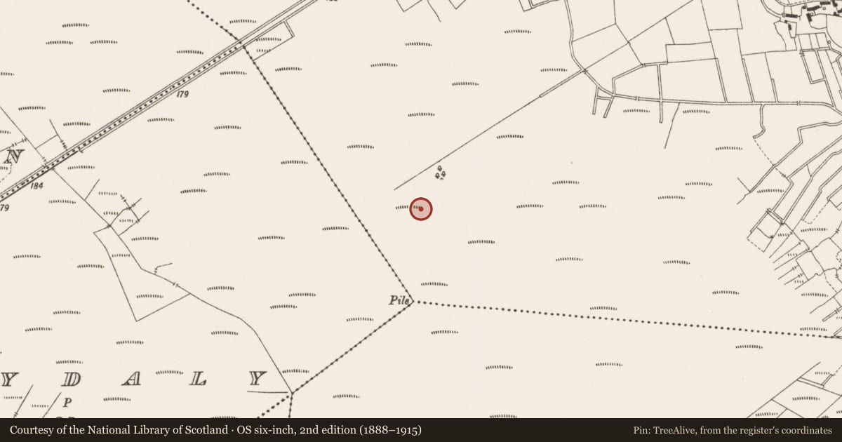 Ordnance Survey six-inch map, 2nd edition (1888–1915) covering the location of Road - class 3 togher, Lemanaghan, County Offaly, with a pin at the register's coordinates