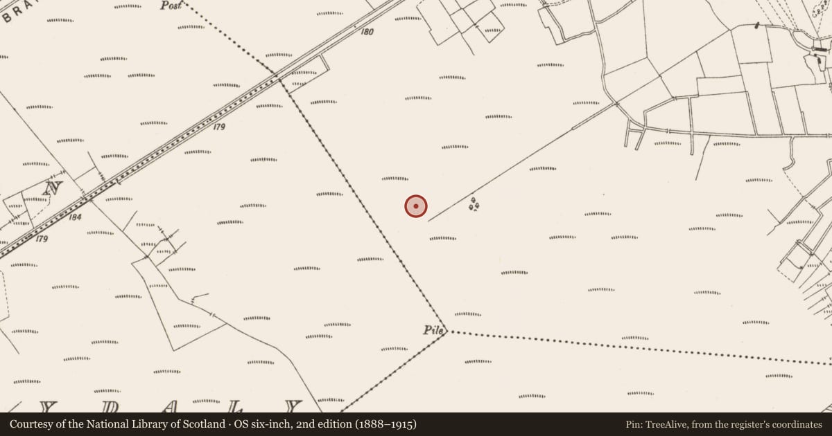 Ordnance Survey six-inch map, 2nd edition (1888–1915) covering the location of Structure - peatland, Lemanaghan, County Offaly, with a pin at the register's coordinates