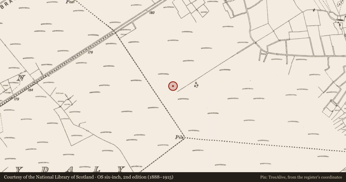 Ordnance Survey six-inch map, 2nd edition (1888–1915) covering the location of Structure - peatland, Lemanaghan, County Offaly, with a pin at the register's coordinates