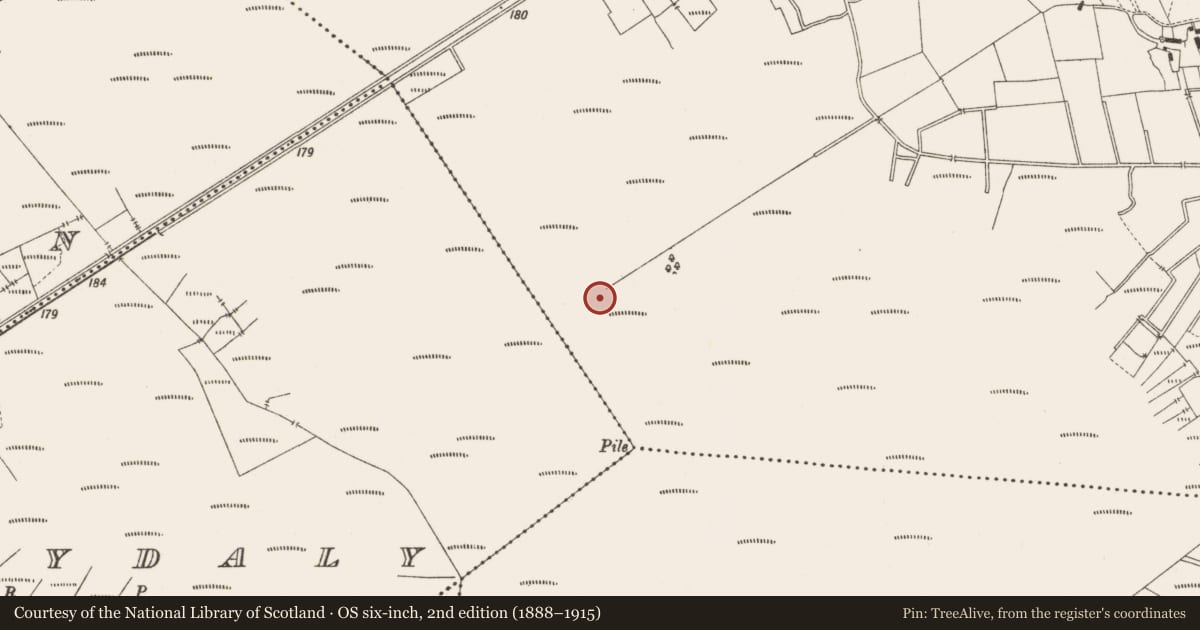 Ordnance Survey six-inch map, 2nd edition (1888–1915) covering the location of Structure - peatland, Lemanaghan, County Offaly, with a pin at the register's coordinates