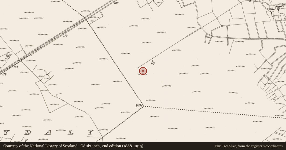 Ordnance Survey six-inch map, 2nd edition (1888–1915) covering the location of Structure - peatland, Lemanaghan, County Offaly, with a pin at the register's coordinates