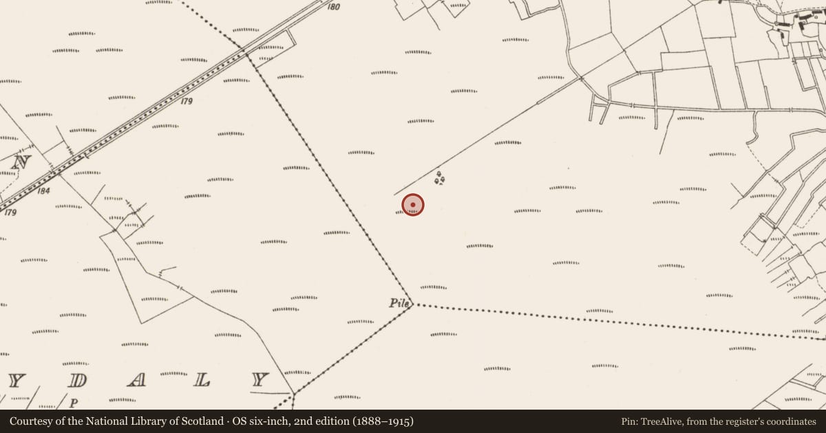 Ordnance Survey six-inch map, 2nd edition (1888–1915) covering the location of Structure - peatland, Lemanaghan, County Offaly, with a pin at the register's coordinates