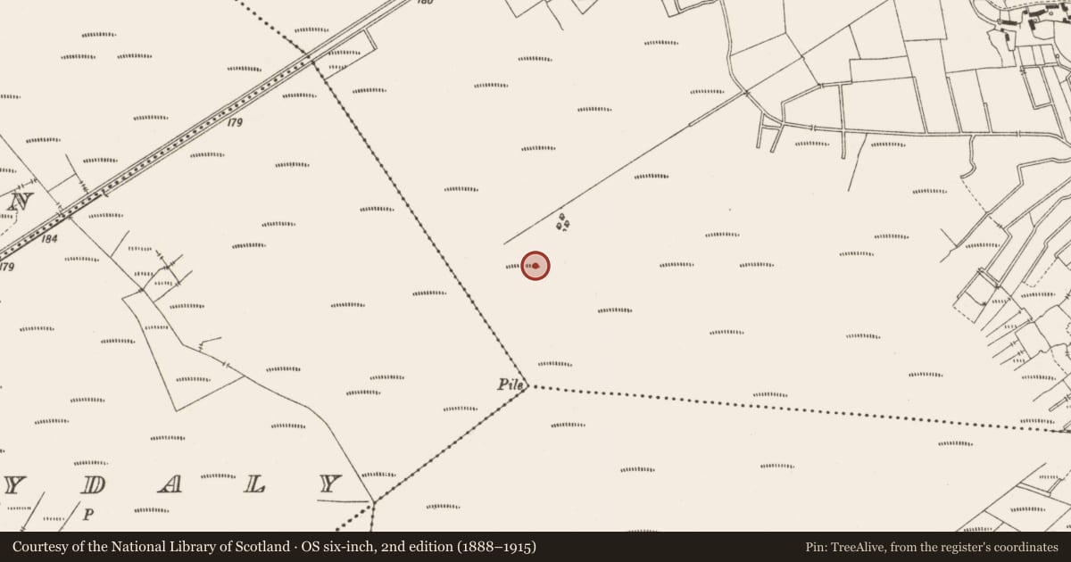 Ordnance Survey six-inch map, 2nd edition (1888–1915) covering the location of Structure - peatland, Lemanaghan, County Offaly, with a pin at the register's coordinates