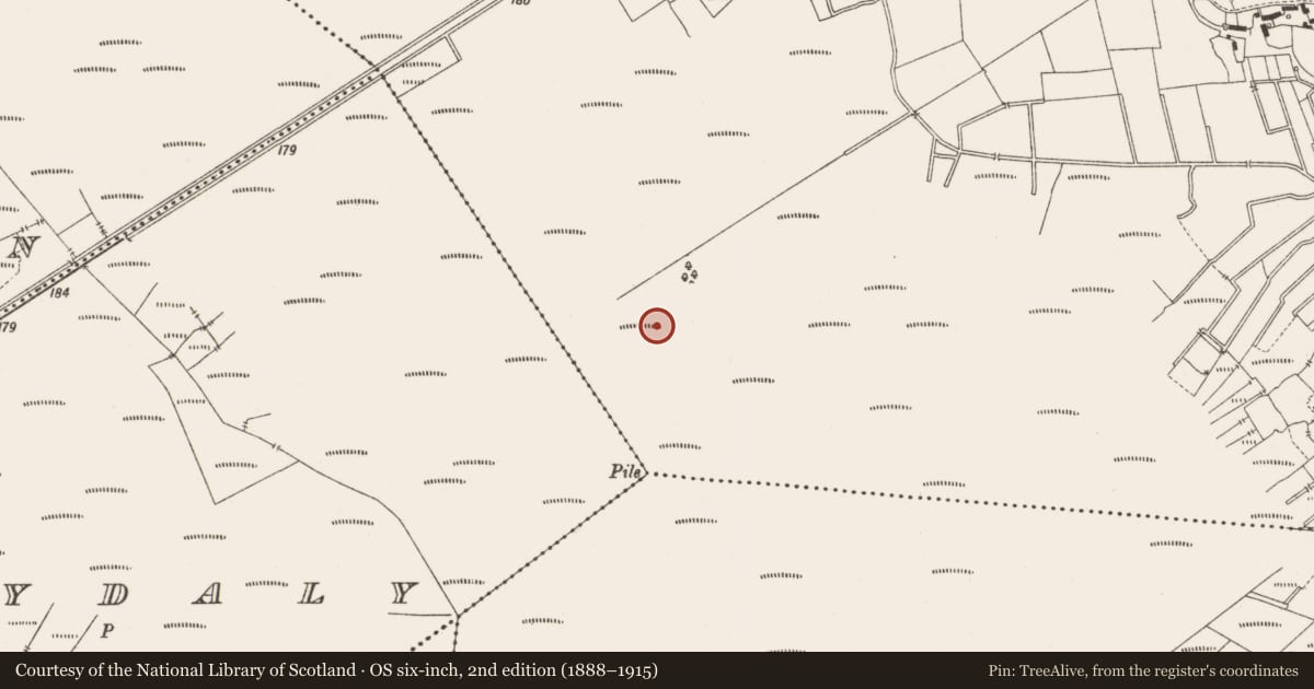 Ordnance Survey six-inch map, 2nd edition (1888–1915) covering the location of Road - class 3 togher, Lemanaghan, County Offaly, with a pin at the register's coordinates