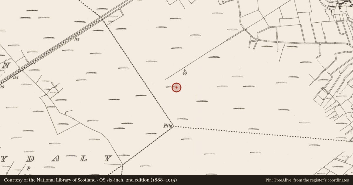 Ordnance Survey six-inch map, 2nd edition (1888–1915) covering the location of Structure - peatland, Lemanaghan, County Offaly, with a pin at the register's coordinates
