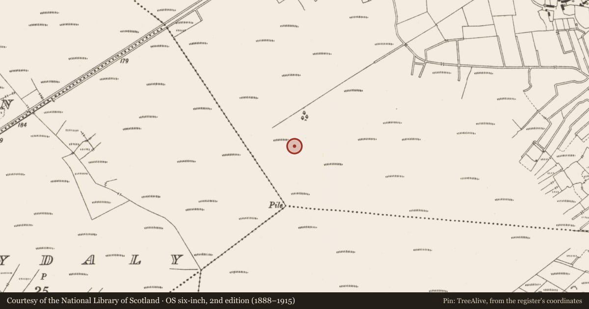 Ordnance Survey six-inch map, 2nd edition (1888–1915) covering the location of Road - class 3 togher, Lemanaghan, County Offaly, with a pin at the register's coordinates