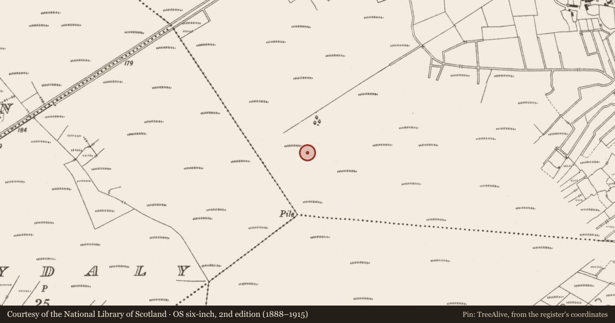 Ordnance Survey six-inch map, 2nd edition (1888–1915) covering the location of Structure - peatland, Lemanaghan, County Offaly, with a pin at the register's coordinates