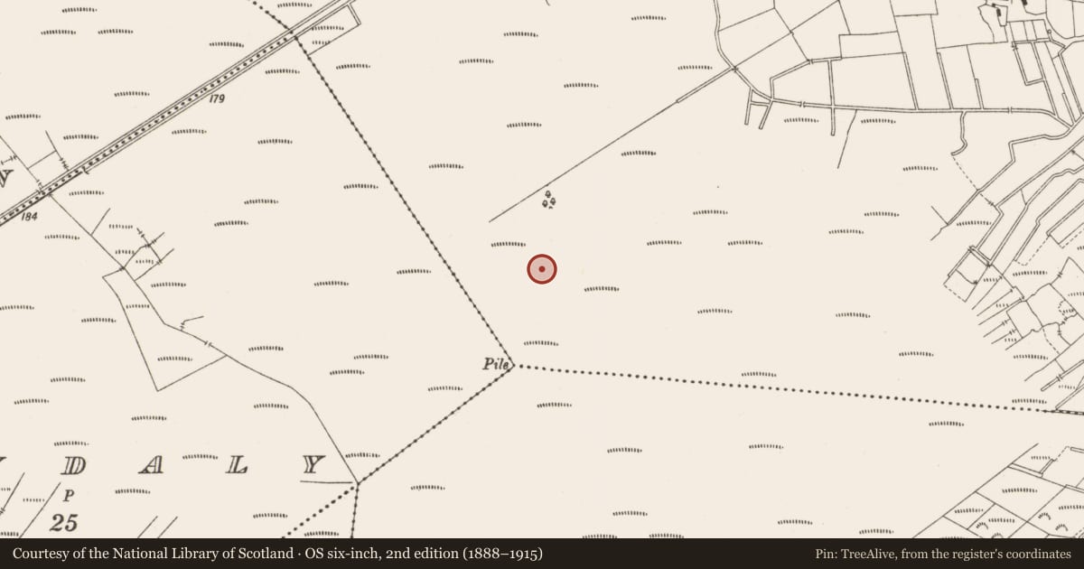 Ordnance Survey six-inch map, 2nd edition (1888–1915) covering the location of Structure - peatland, Lemanaghan, County Offaly, with a pin at the register's coordinates