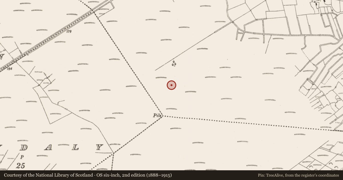 Ordnance Survey six-inch map, 2nd edition (1888–1915) covering the location of Structure - peatland, Lemanaghan, County Offaly, with a pin at the register's coordinates