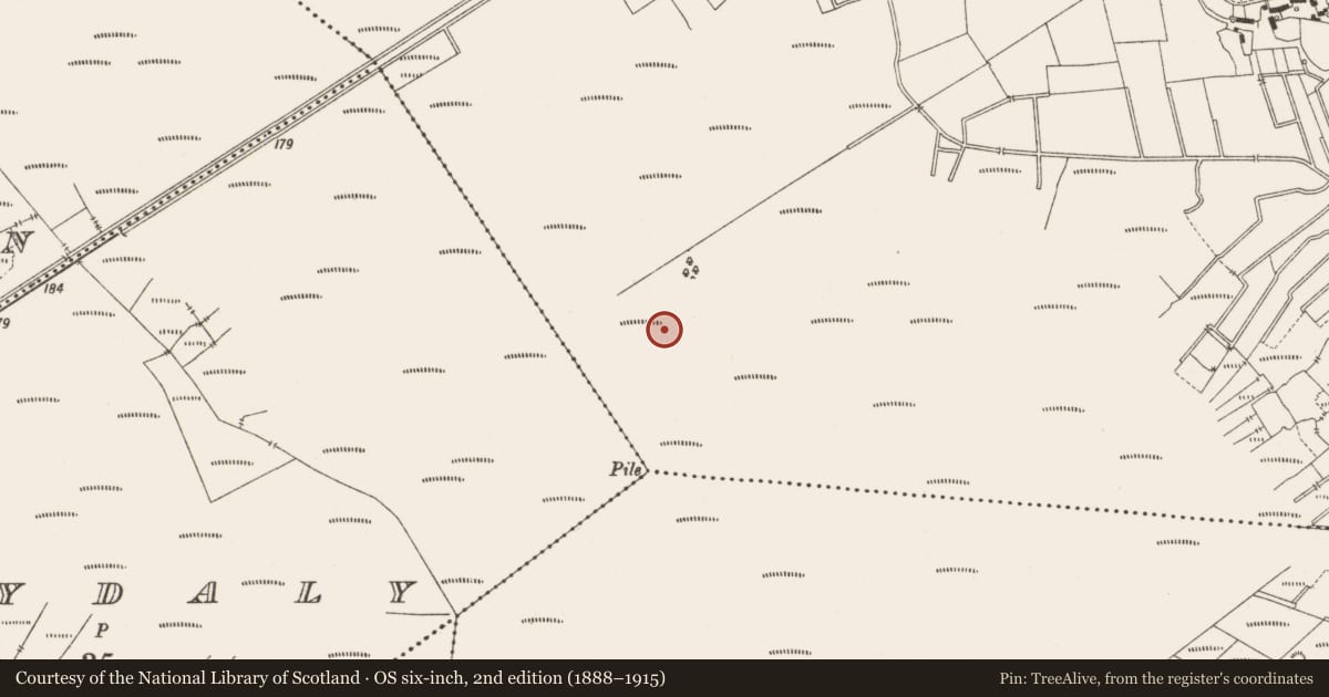 Ordnance Survey six-inch map, 2nd edition (1888–1915) covering the location of Road - class 3 togher, Lemanaghan, County Offaly, with a pin at the register's coordinates