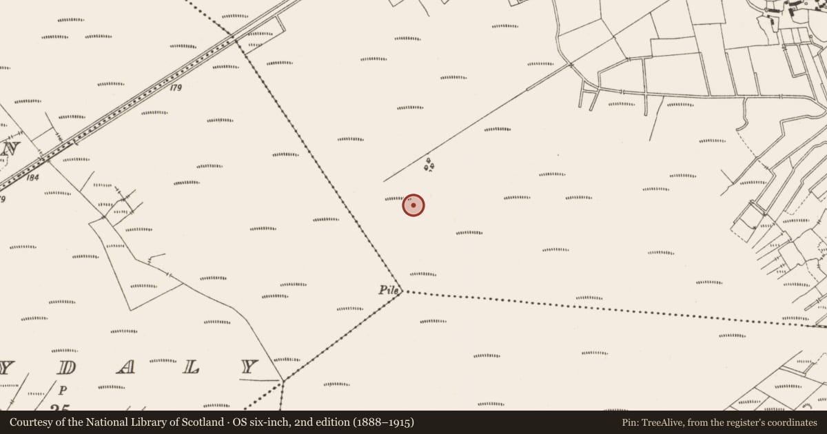 Ordnance Survey six-inch map, 2nd edition (1888–1915) covering the location of Road - class 3 togher, Lemanaghan, County Offaly, with a pin at the register's coordinates
