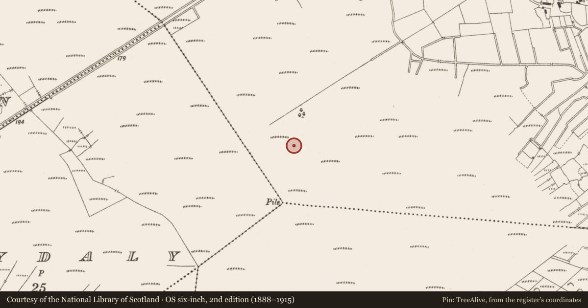 Ordnance Survey six-inch map, 2nd edition (1888–1915) covering the location of Road - class 3 togher, Lemanaghan, County Offaly, with a pin at the register's coordinates