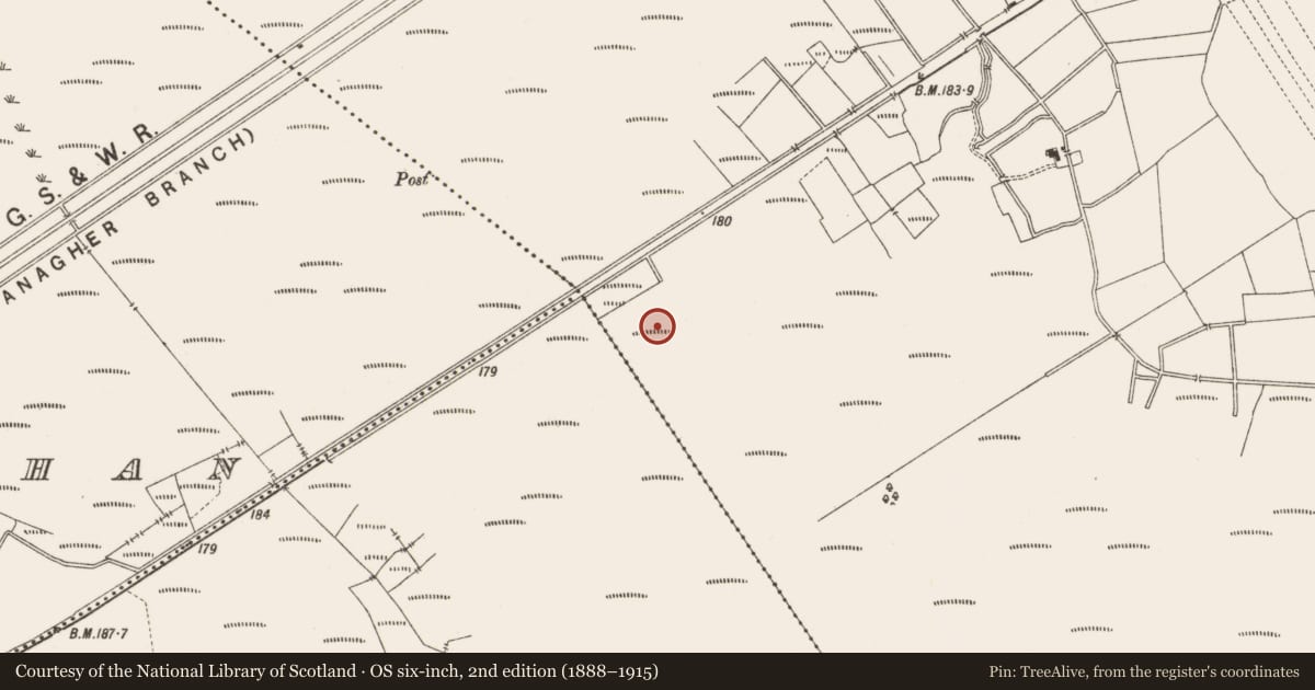 Ordnance Survey six-inch map, 2nd edition (1888–1915) covering the location of Structure - peatland, Lemanaghan, County Offaly, with a pin at the register's coordinates