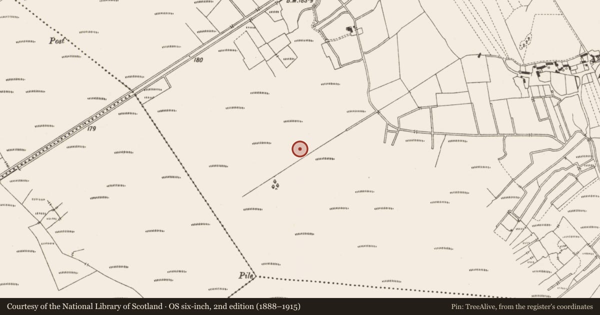 Ordnance Survey six-inch map, 2nd edition (1888–1915) covering the location of Structure - peatland, Lemanaghan, County Offaly, with a pin at the register's coordinates