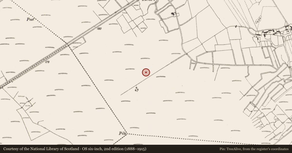 Ordnance Survey six-inch map, 2nd edition (1888–1915) covering the location of Structure - peatland, Lemanaghan, County Offaly, with a pin at the register's coordinates