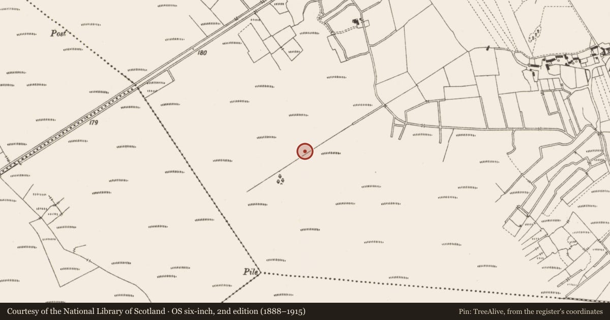 Ordnance Survey six-inch map, 2nd edition (1888–1915) covering the location of Structure - peatland, Lemanaghan, County Offaly, with a pin at the register's coordinates